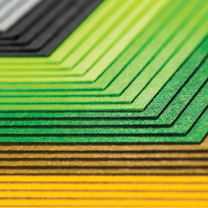 AST Group of Companies